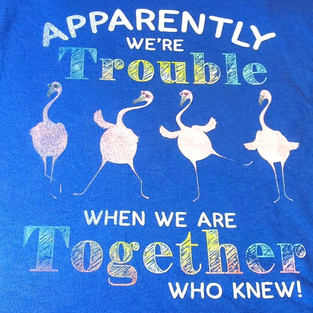 Flamingo Apparently We Are Trouble Racer Back Tank